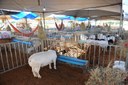 Circuito Empreender e Expo Monteiro: Empreendedorismo e Agronegócio na região do Cariri Paraibano