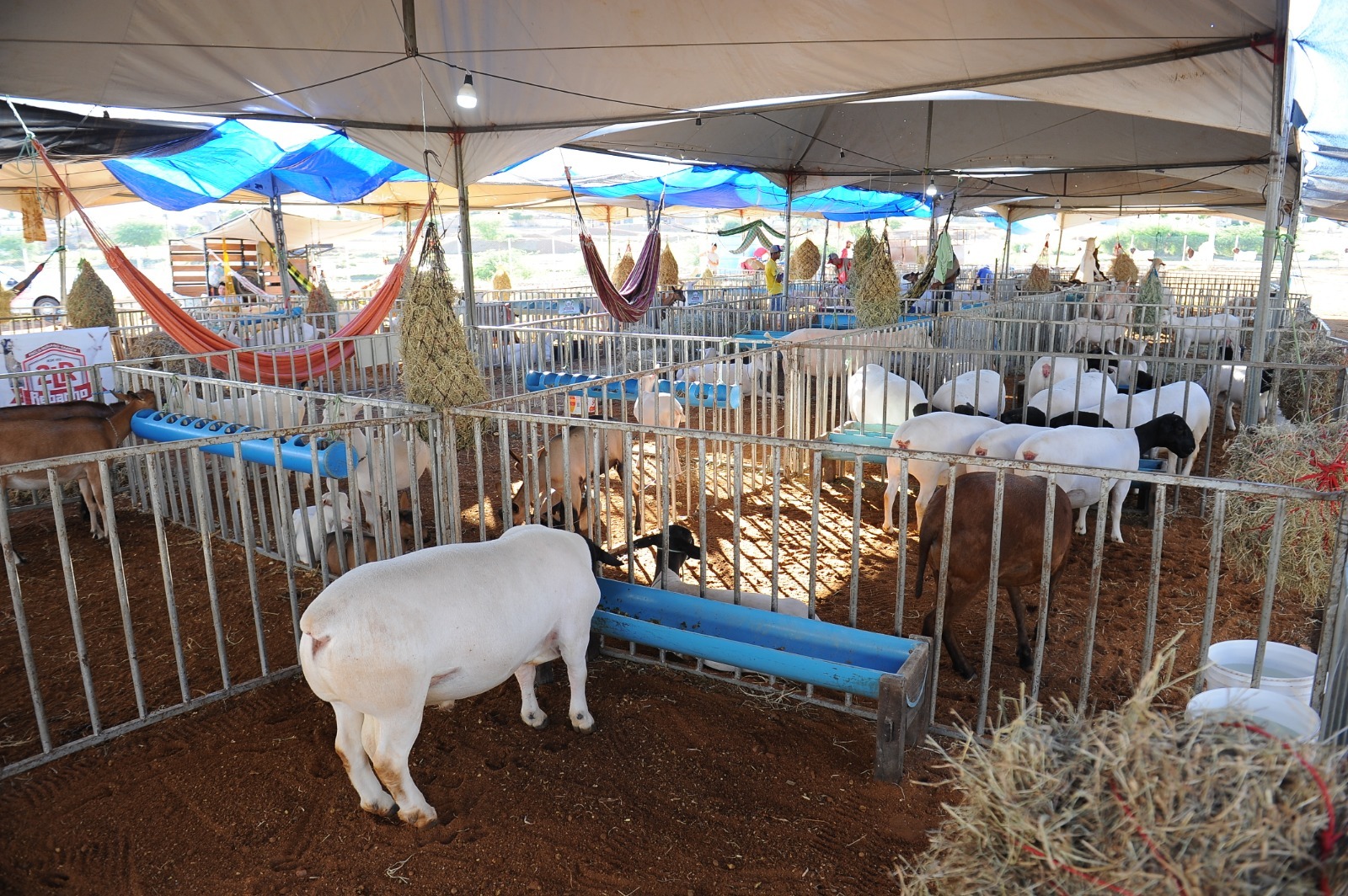 Circuito Empreender e Expo Monteiro: Empreendedorismo e Agronegócio na região do Cariri Paraibano