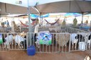 Circuito Empreender e Expo Monteiro: Empreendedorismo e Agronegócio na região do Cariri Paraibano